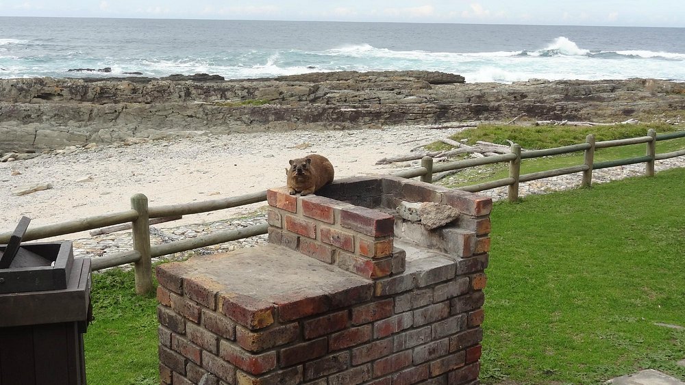 Storms River Mouth Rest Camp thumbnail 3